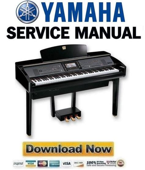 Yamaha cvp 309pe cvp 309pm clavinova service handbuch. - Słon wśród porcelany ; lżejszy kaliber.