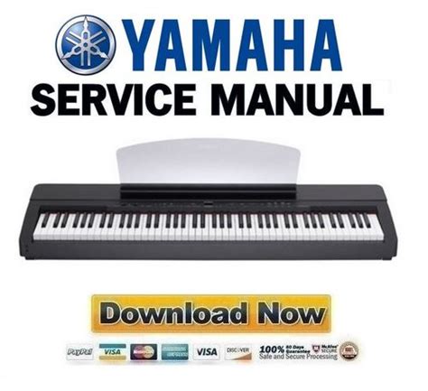 Yamaha p 140 p 140s service manual repair guide. - Fundamentals of anatomy physiology study guide.