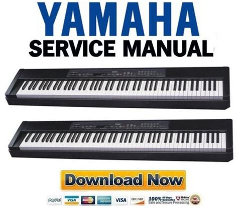 Yamaha p 80 p80 service manual repair guide. - The tandem scoop an insiders guide to tandem cycling.