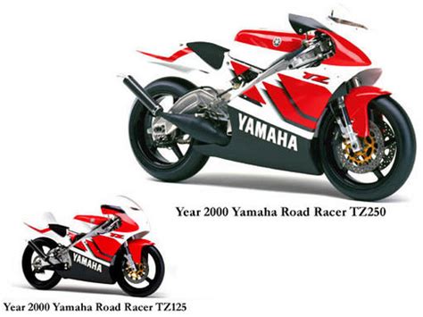 Yamaha tz 250 service manual 2000 2001 tz250. - English guide for class 9 icse.