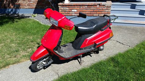 Yamaha xc125 riva 125 scooter full service repair manual 1986 1993. - Hamsterlopaedia a complete guide to hamster care.