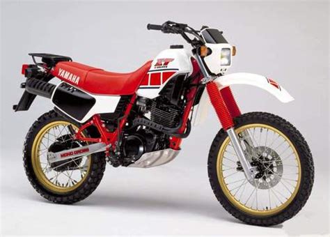 Yamaha xt 600 e service manual 1989. - Complete dog owners manual how to raise a happy healthy dog.