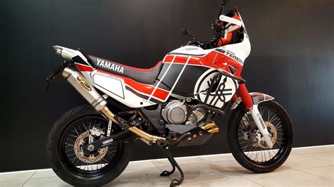 Yamaha xtz750 super tenere manuale di riparazione. - Einführung in die vergleichende anatomie der wirbeltiere.