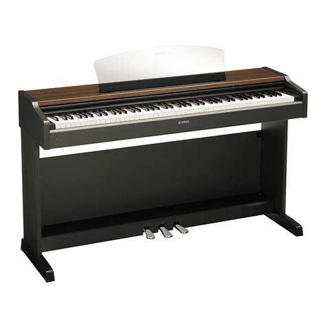 Yamaha ydp 131 c digital piano service manual. - Tommaso crudeli e i primi framassoni in firenze..
