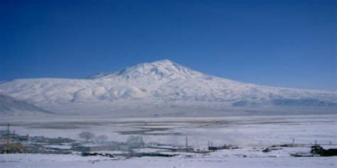 Yanalyol Halı ve Koltuk Yıkama