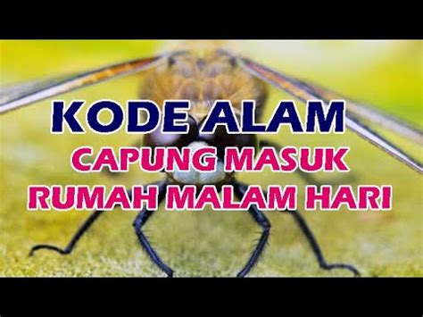 Yang akan keluar hongkong 2020. Erek erek capung masuk rumah.