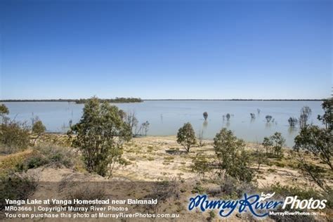 Yanga House, Lake Yanga - Facebook