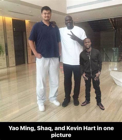 14 2mice • 4 yr. ago But which rock is taller? 7 SterlingCasanova • 4 yr. ago Kevin hart looks so dissed that this image exists. 3 [deleted] • 4 yr. ago The scale feels off, 6 inches is like the size of your phone yet shaq and yao mings difference looks like a foot. 70 NeonRhyn0 • 4 yr. ago. 