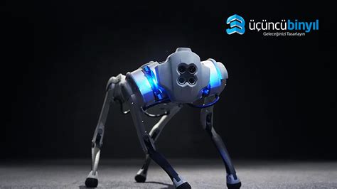 codini.rgarabwor.edu.pl. 