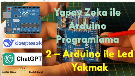 codini.rgarabwor.edu.pl. 