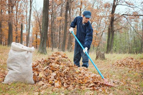 Yard clean up. Get Ready for Your Yard Waste Pickup. Step 1: Collect your yard waste. Step 2: Put yard waste in biodegradable bags, or follow your city-specific guidelines. Step 3: Place items in a pile near the sidewalk or edge of driveway. Your pile should be no higher than 4 ft. Step 4: 