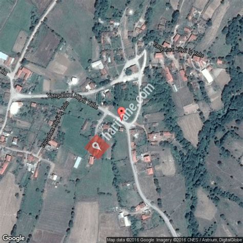 Yarisalani Halı ve Koltuk Yıkama