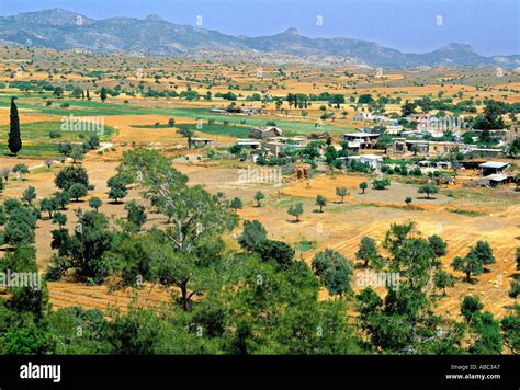 Yarkoy Halı ve Koltuk Yıkama