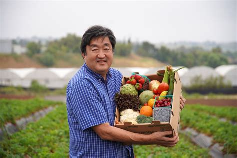 Yasukochi family farms. Farmer Donal’s Tips of the week: Sugar snap peas this week, Eat them whole do not shell. The grapefruit is in the box this week Ruby red or Melo gold. Both sweet peel slice or cut in half. Winter... 