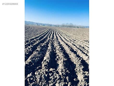 Yatırımlık Yol Kenarı Arsa Satılık Arsa İlanları  Sahibinden.