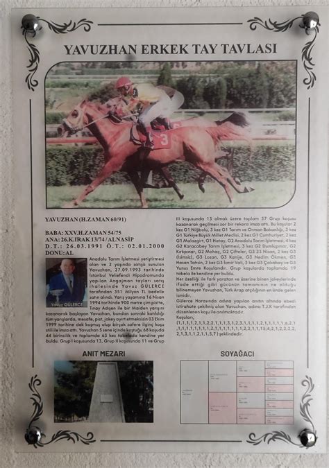 veodersti.rgarabwor.edu.pl. 