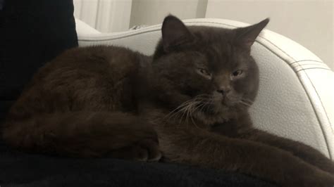 Yavuzlar Gold #zincir #altın #gold #batman #goldenplaza Instagram.