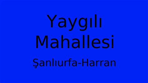 Yaygili Halı ve Koltuk Yıkama