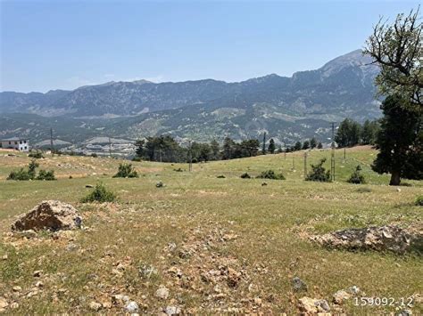 Yaylalik Halı ve Koltuk Yıkama