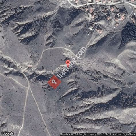 Yaylaoren Halı ve Koltuk Yıkama