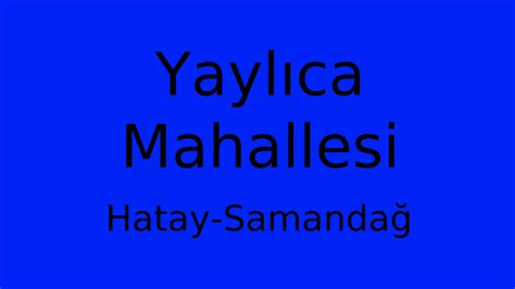 Yaylica Halı ve Koltuk Yıkama