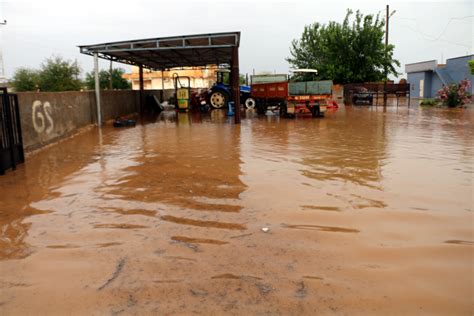 Yayvandoruk Halı ve Koltuk Yıkama