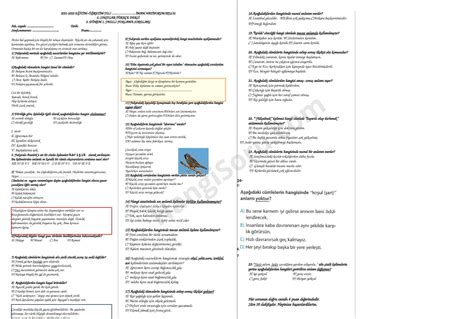 Yazılı Soruları Test Çöz İndir Sivrisinek alayla vızıldamış: "Öyle, öyle işte!" demiş.