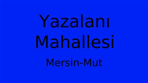 Yazalani Halı ve Koltuk Yıkama
