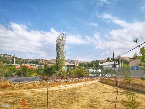 Yazdami Halı ve Koltuk Yıkama