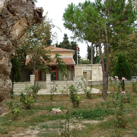 Yazicizade Halı ve Koltuk Yıkama