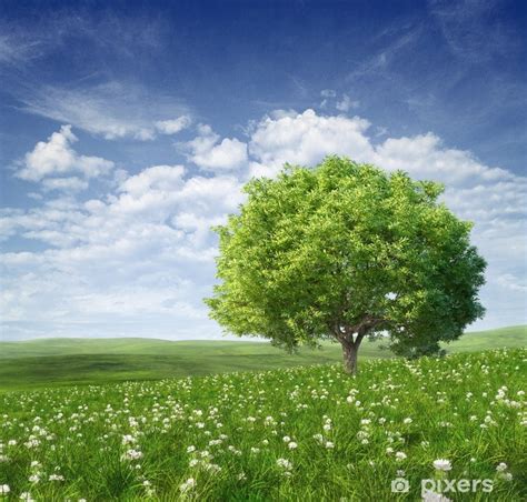 Yeşil ağaç resmi