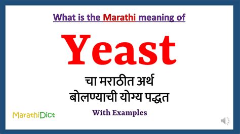 Yeast Meaning in Marathi - MarathiDict