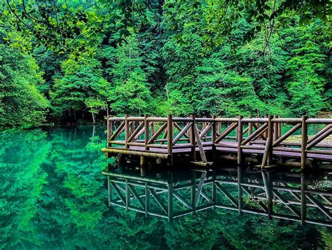 codini.rgarabwor.edu.pl. 