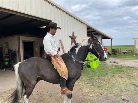 Yee haw! Austin man taking 100-day long horseback riding trip to Seattle