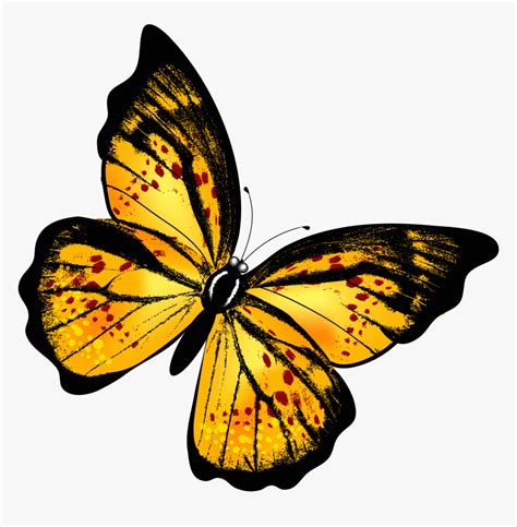 Yellow Butterfly PNG Images, Transparent Yellow Butterfly …