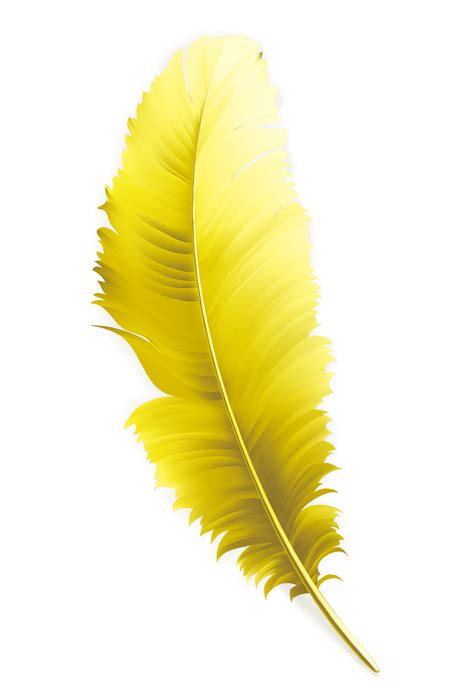 Yellow Feather PNG, Vector And Transparent Clipart Images