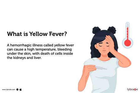 Yellow Fever