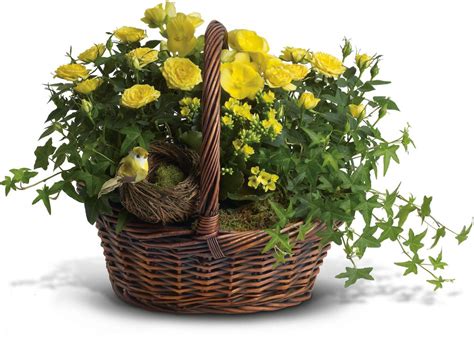 Yellow Trio Basket in Williston Park, NY The Roslyn Florist