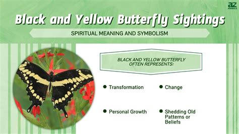 Yellow and Black Butterfly Meaning - Spiritual & Biblical Meaning