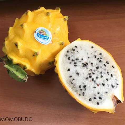 Yellow dragon fruit. Yellow dragon fruit is a species of dragon fruit, which is a vining cactus plant of the Hylocereus or Selenicereus genus. It is also known as pitahaya amarillo. Yellow dragon fruit is unique for ... 