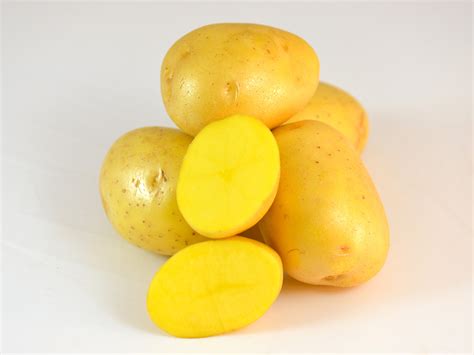Yellow potato. Yukon and yellow potatoes may look similar, but they are not the same. Yukon golds are a specific variety that originated from Canada, while yellow potatoes refer to any potato with a yellowish flesh. They differ in texture as well; Yukons have lower starch levels and more moisture, making them creamier for mashing, while yellow-fleshed ... 