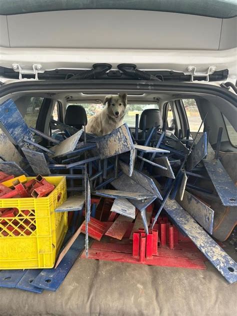 Yellowknife veterinarian helps pets flee fires, supports animals left behind