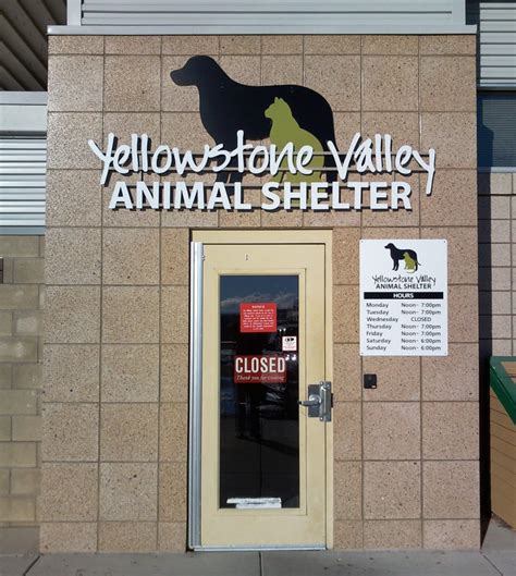 Yellowstone animal shelter. The Yellowstone Valley Animal Shelter (YVAS) is a 501(c)(3) nonprofit organization that opened its doors officially in 2009. We take great pride in caring for Billings’ lost and transitioning companion animals. Contact Us. Phone: (406) 294-7387; Physical Address: 