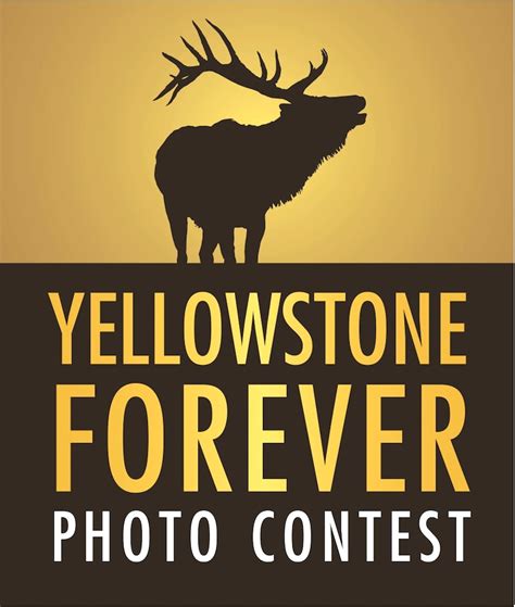Yellowstone forever. Eyes on Yellowstone is made possible by generous annual grants from Canon U.S.A., Inc. to Yellowstone Forever. Canon is the single largest funder of wildlife conservation and research in Yellowstone National Park, providing financial and technical support for the following programs: 