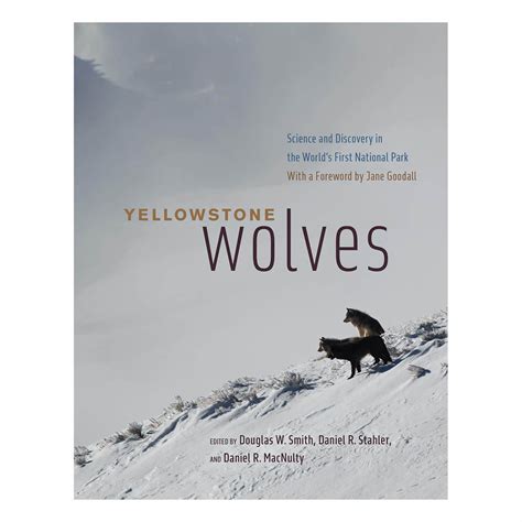 Yellowstone wolves book.  Anchored in what we have learned from Yellowstone, ...