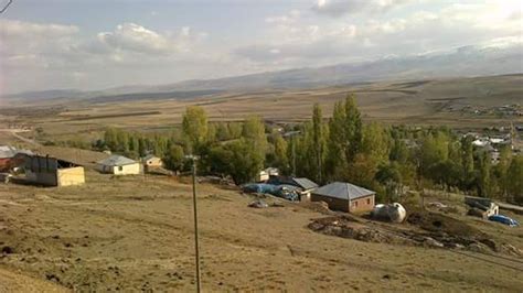 Yelpiz Halı ve Koltuk Yıkama