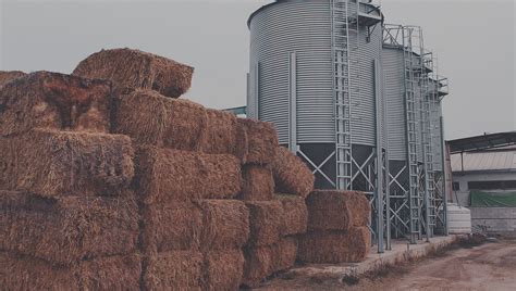 veodersti.rgarabwor.edu.pl. 