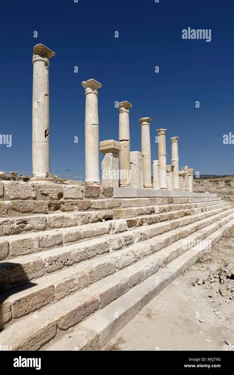 Yenicekent Halı ve Koltuk Yıkama