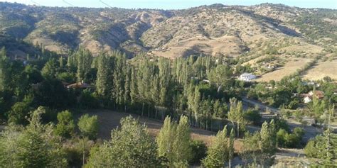 Yeniceler Halı ve Koltuk Yıkama