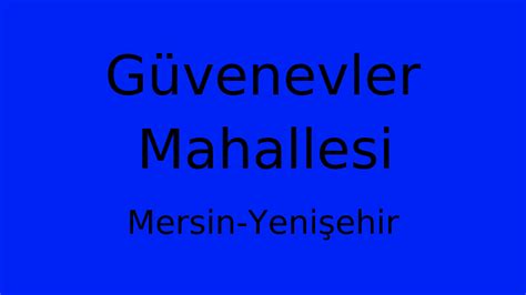 Yenisehir Guvenevler terapi halı yıkama